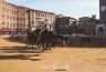 Palio Straordinario: la fotogallery della seconda prova